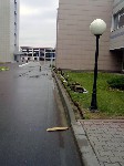 Асфальтирование
